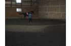 Property photo 64 - 80 Acres Offered in 4 Tracts - Horse Farm